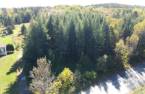 Terre/Terrain