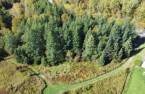 Terre/Terrain