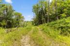 Terre/Terrain
