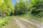 Terre/Terrain