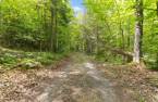 Terre/Terrain