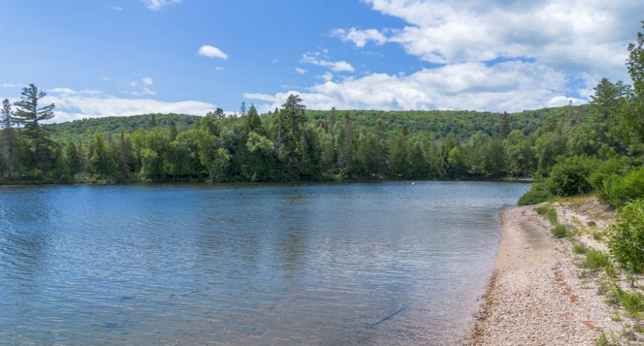 Bord de l'eau