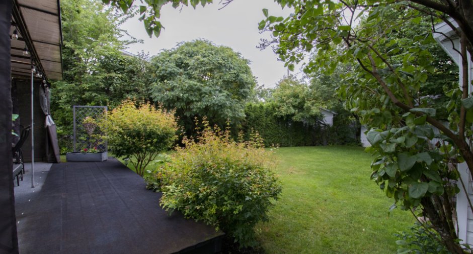Terre/Terrain