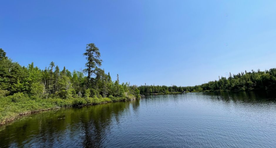 Vue sur l'eau