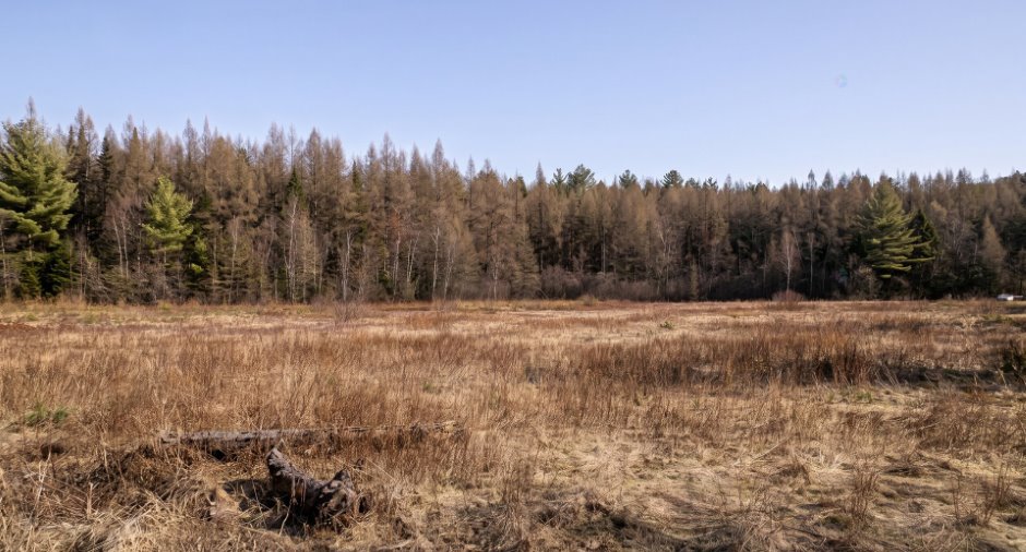Terre/Terrain