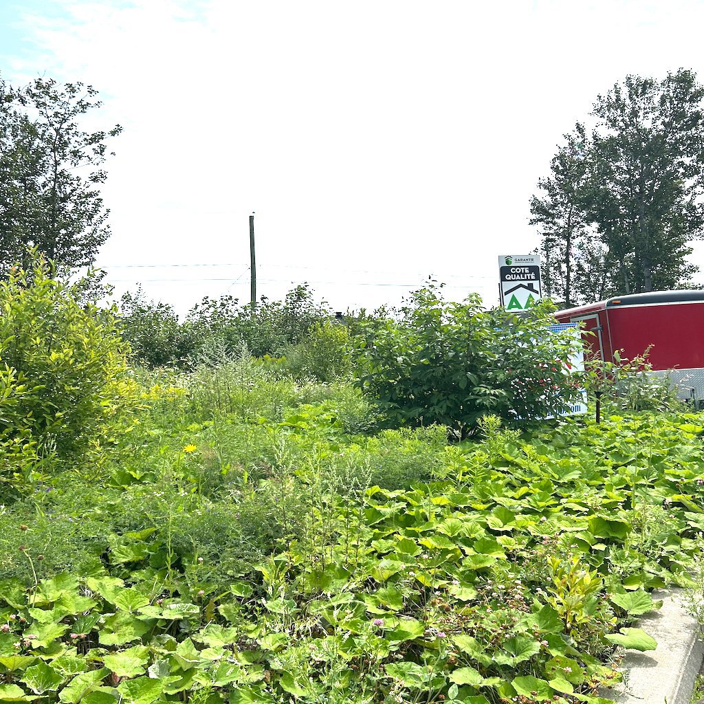 Rue du Sauvignon — photo 1