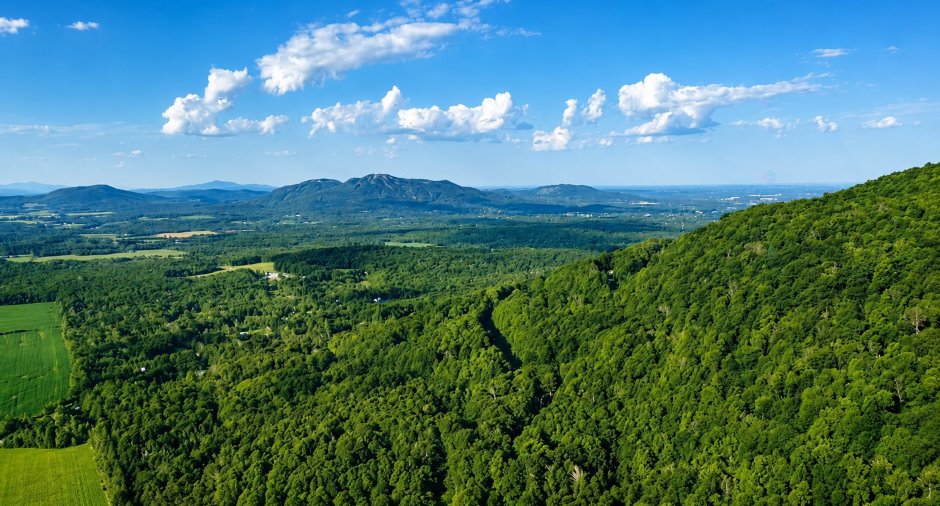 Vue
