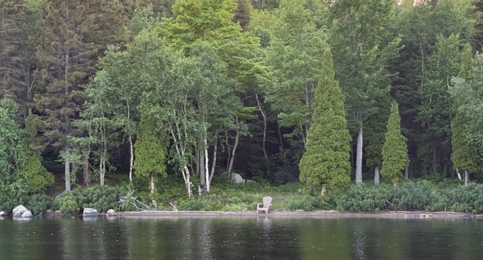 Vue