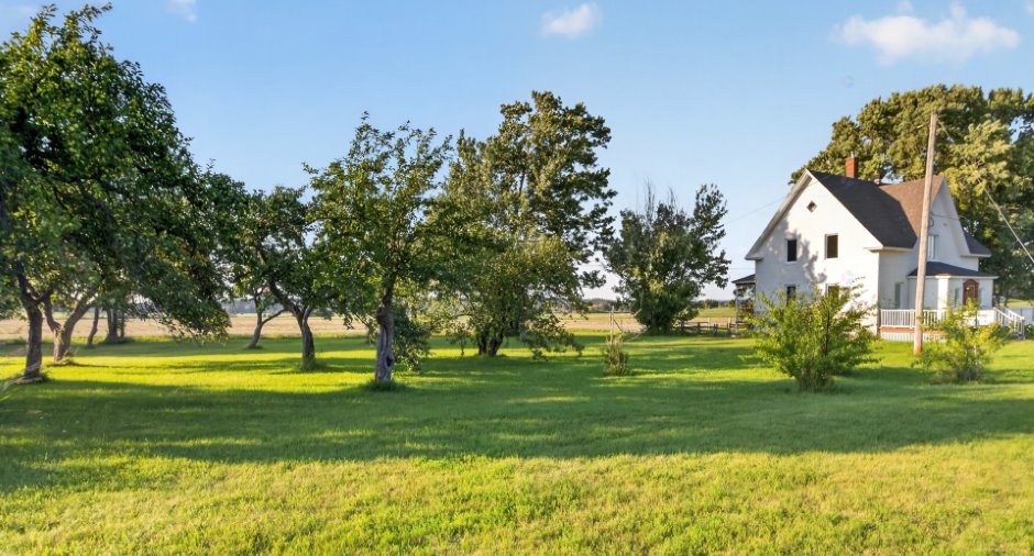 Cour