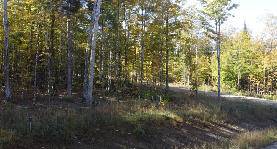 Land/Lot