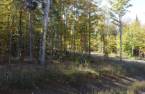 Land/Lot