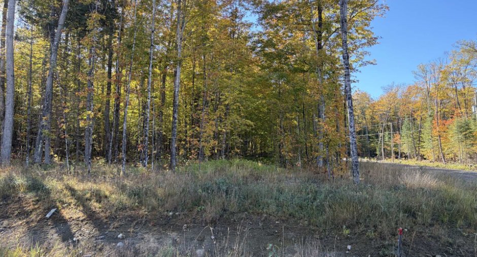 Land/Lot