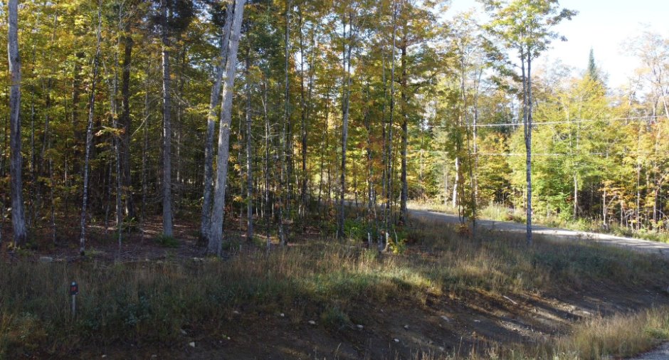 Land/Lot