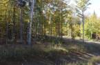 Land/Lot