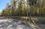 Land/Lot