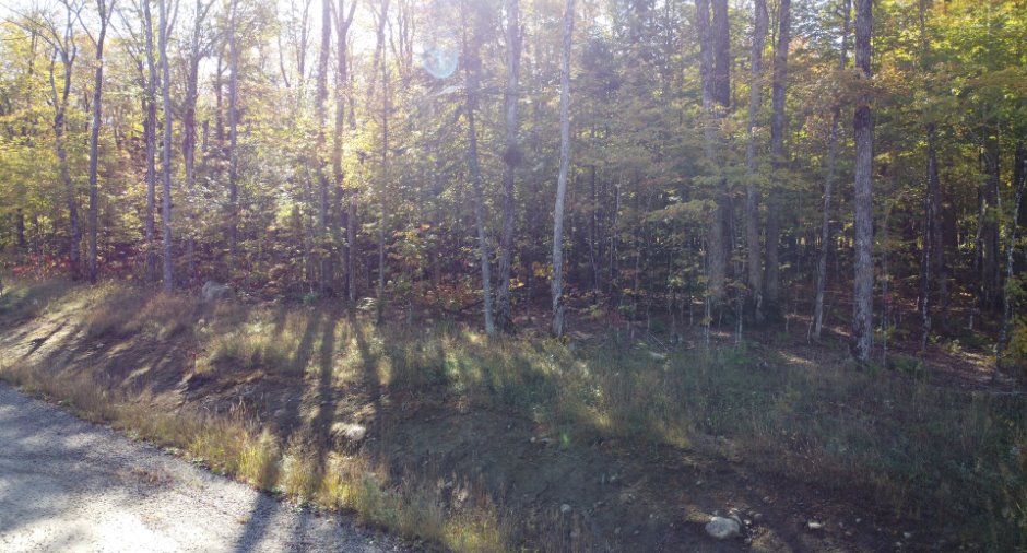 Land/Lot