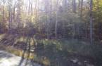 Land/Lot