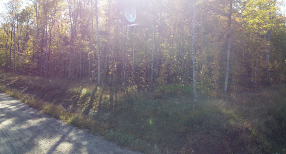 Land/Lot