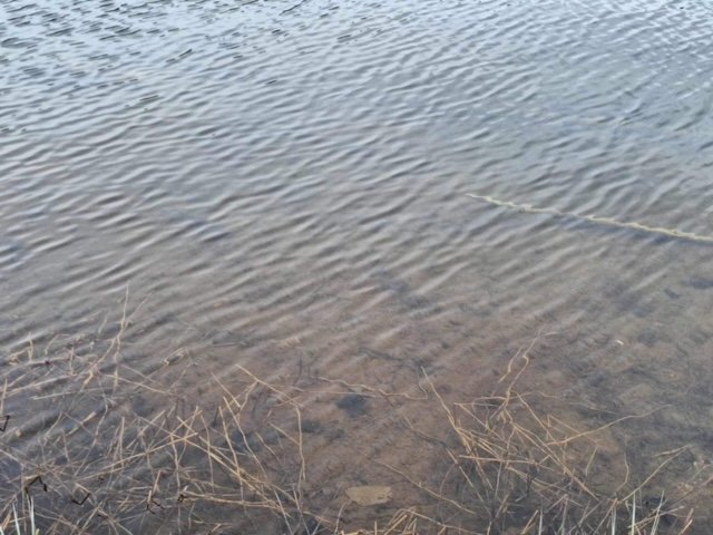 Waterfront