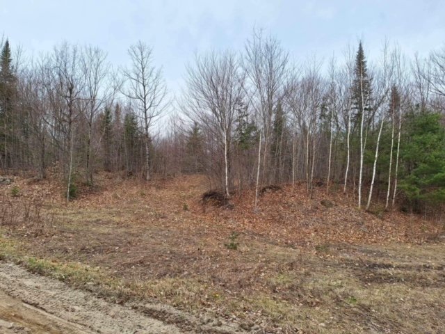 Land/Lot