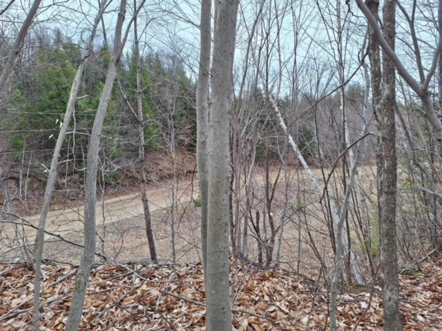 Land/Lot