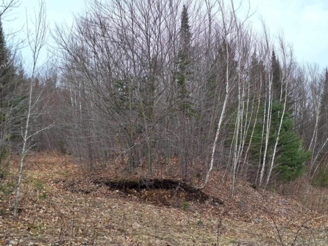Land/Lot