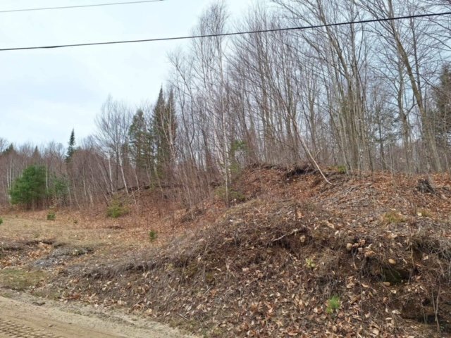 Land/Lot