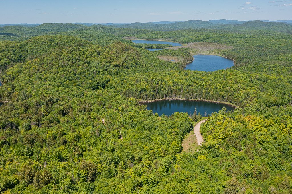 Overall View