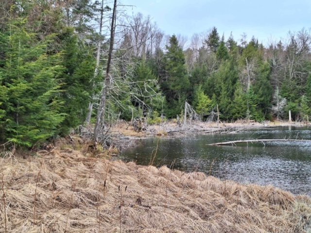 Land/Lot