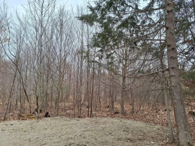 Land/Lot