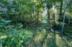 Terre/Terrain
