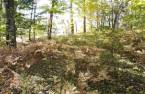 Terre/Terrain
