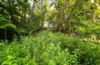 Terre/Terrain