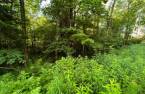 Terre/Terrain