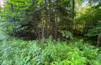 Terre/Terrain