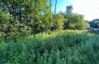 Terre/Terrain