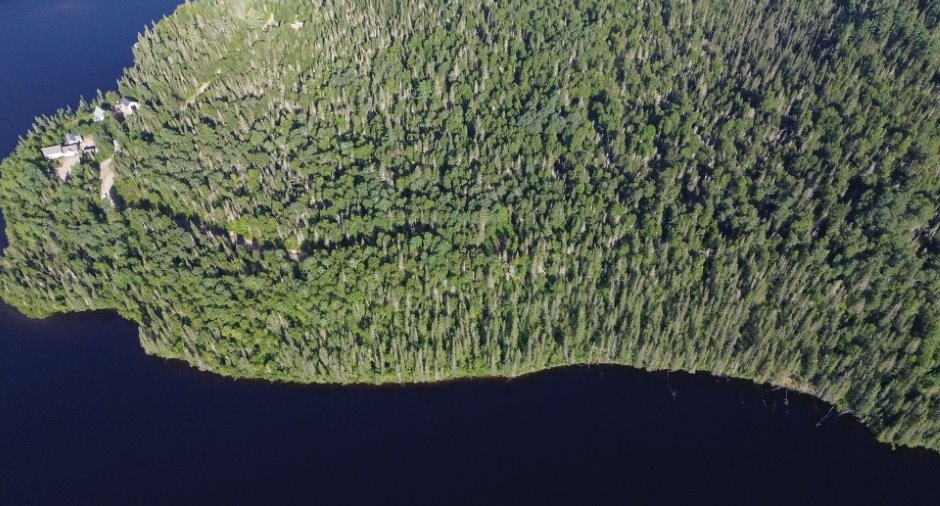 Terre/Terrain