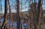 Terre/Terrain