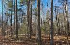 Land/Lot