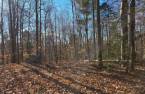 Land/Lot