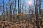 Land/Lot