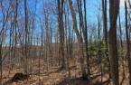 Land/Lot