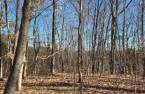 Land/Lot