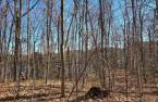 Land/Lot