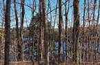 Land/Lot