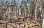 Land/Lot