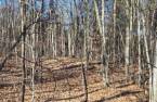 Terre/Terrain