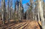 Land/Lot