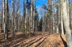 Terre/Terrain
