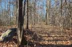 Land/Lot